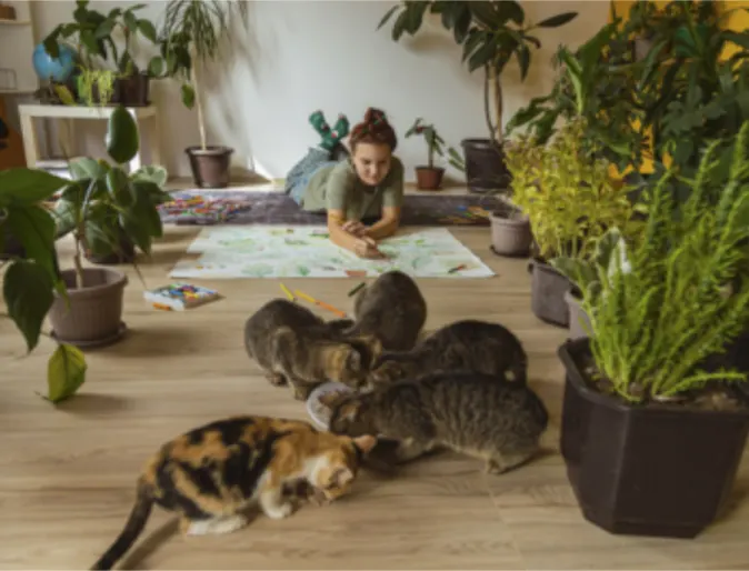 A girl drawing on the floor at home, next to her 5 cats